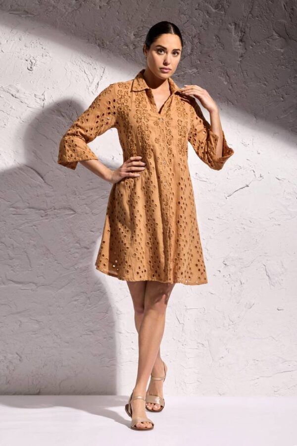 DB25-081-brown-A-scaled
