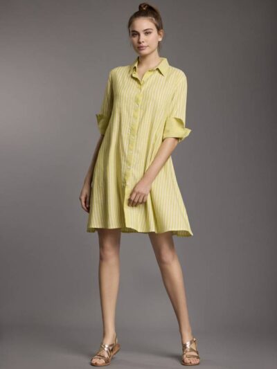 IC25-026-lime-A-scaled
