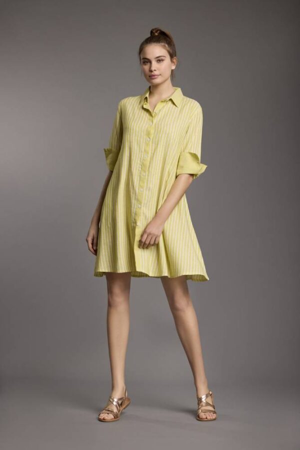 IC25-026-lime-A-scaled