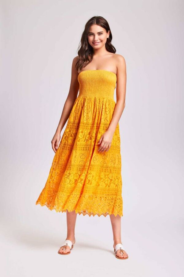 IC24-091-saffron-A-scaled